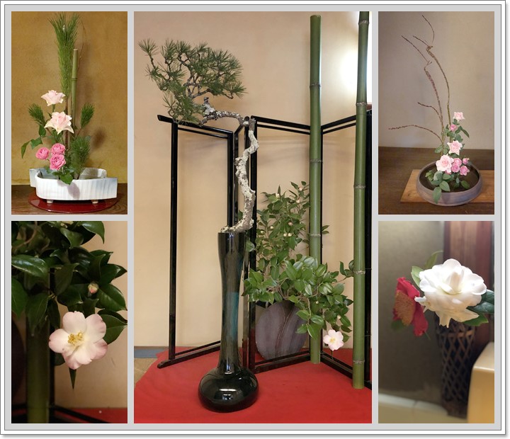 料亭橋本の季節のお花でお出迎え